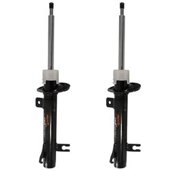 COFAP---GP30231--2-