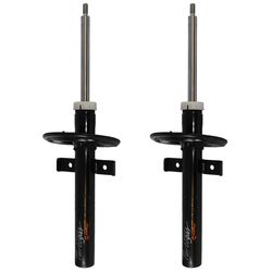 COFAP---GP30233--2-